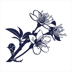 silhouette flower white background