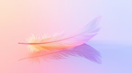 Obraz premium A feather is shown on a pink background