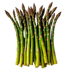 Fresh organic asparagus bunch isolated on white background showcasing vibrant green color and crisp texture