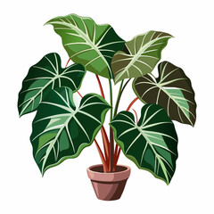 Lush Green Leaves of Tropical Plant with Intricate Veins and Texture