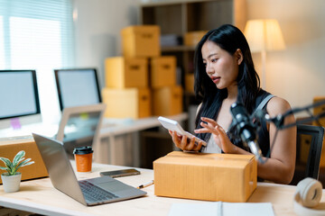 Female entrepreneur working on laptop, calculating financial data for e-commerce startup