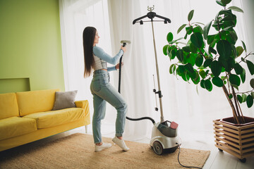 Young Woman Using a Garment Steamer in a Stylish Living Room with Modern Decor and Natural Light
