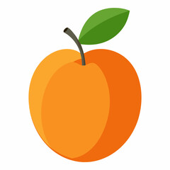Vibrant illustration of a peach with a green leaf on a white background