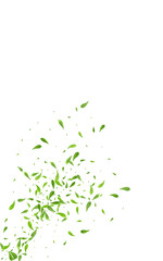 Lime Leaf Fresh Vector White Background Pattern.