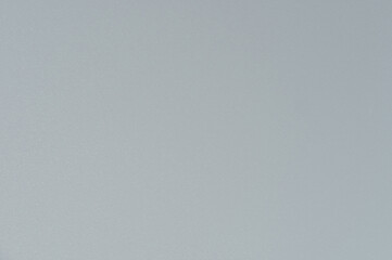 Bright gray wall serving as backdrop for artistic display in modern interior