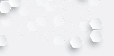 Geometric background with hexagonal pattern. White background with a 3D effect, featuring a white and gray color scheme. 3D hexagon pattern background. Gray background vector.

