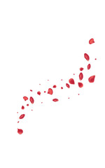 Delicate Flower Summer Vector White Background.