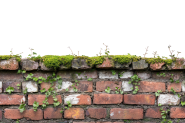 A section of vintage red brick wall with moss and small vines creeping through the cracks, highlighting the aged charm.
