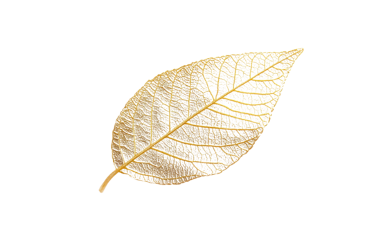 A single shiny yellow leaf with a subtle gold foil texture, showcasing the intricate design of the veins and metallic sheen for a sophisticated look.
