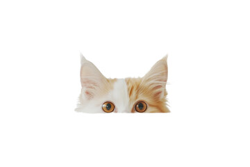A small white dog with floppy ears and an orange cat with a sleek coat peeking over the top of a web banner, both looking directly at the camera.