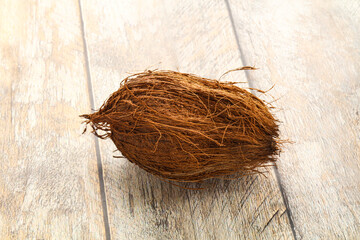 Natural exotic brown hairy coconut