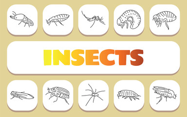 Insects concept. Shablon for presentation and Infographics.