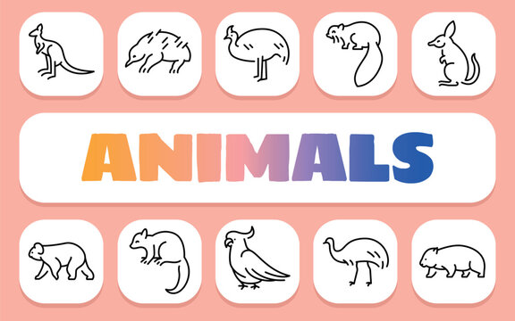 australian animals text concept. Shablon for presentation and Infographics.