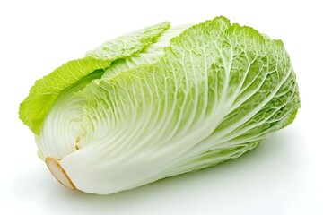 A single head of napa cabbage is shown against a white background