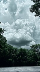 Dramatic Sky Above Verdant Trees Before a Looming Thunderstorm Event