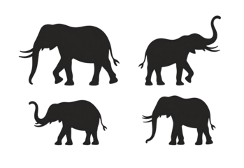  Majestic Set of Elephants – Strength and Unity in the Wild