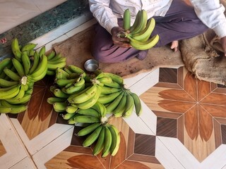 Farmer sorts raw green bananas/plantains on tiled floor. Used in curries, chips, rich in resistant...