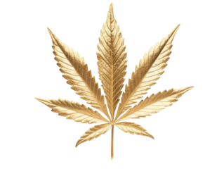 Isolated Gold Cannabis Leaf