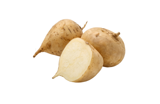 Fresh Jicama Vegetable PNGs – Transparent Background for Design Use