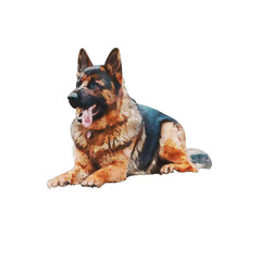 A beautifully detailed watercolor painting of a German Shepherd dog-Without splatter effect-With White Backgound