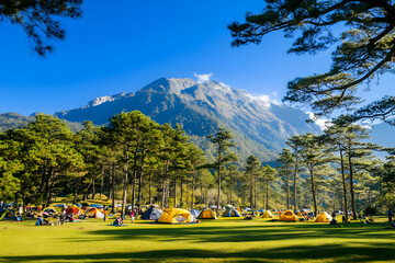 Mountain Camping Tents Scenic View Illustration