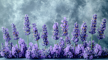 Lavender blossoms in front of a textured backdrop