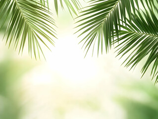 Obraz premium Palm Leaf Green Background Illustration