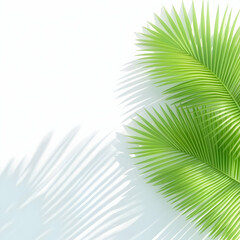 Obraz premium Tropical Palm Leaves Illustration Background
