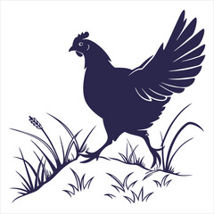 silhouette hen on white background