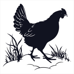 silhouette hen on white background
