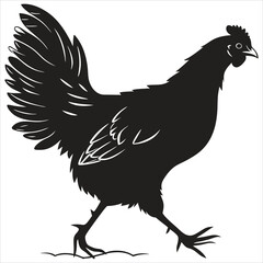 silhouette hen on white background