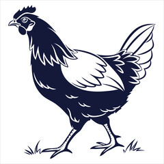 silhouette hen on white background