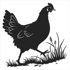 silhouette hen on white background