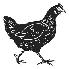 silhouette hen on white background