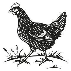 silhouette hen on white background