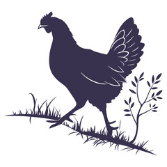 silhouette hen on white background