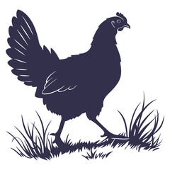 silhouette hen on white background