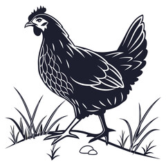 silhouette hen on white background