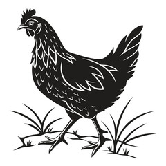 silhouette hen on white background