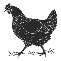 silhouette hen on white background