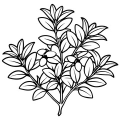 Black and white illustration of lush foliage with intricate leaf details