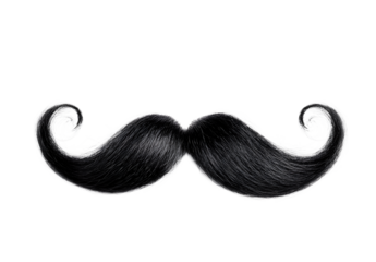 Black curly mustache beard isolated on white background