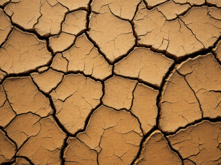 Close-up of dry, cracked earth revealing the harsh effects of drought and heat.