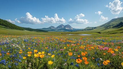 Vibrant wildflowers bloom, mountains rise in background