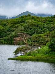 Landscape with lake in Arusha National Park.