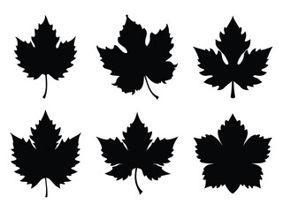 Collection of Silhouette Grape Leave vector on white background