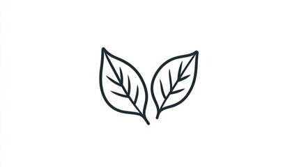 Two leaves, nature, eco-friendly, white background, design element