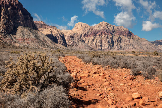 Scenic landscape and rocky path with mountains as a bckgound in desert in Nevada, USA
