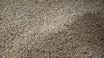 Heap of dried seeds of pearl millet grains. It is a rich source of fibre, essential amino acids, protein, calcium, phosphorous and iron. Pearl millet contains fair amount of thiamine, riboflavin.