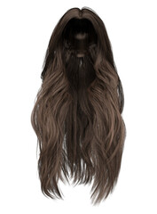3d render long straight brown hair isolated